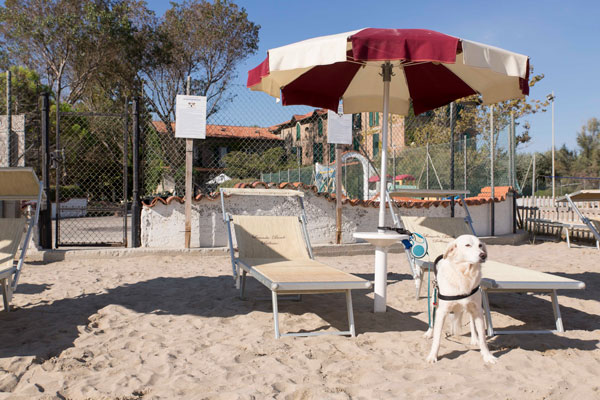 spiaggia bellaria con area cani
